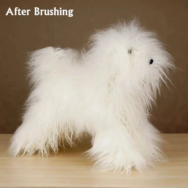 cvicna-srst-pre-model-toy-poodle-dw01-1 cvicna-srst-pre-model-toy-poodle-dw01-1