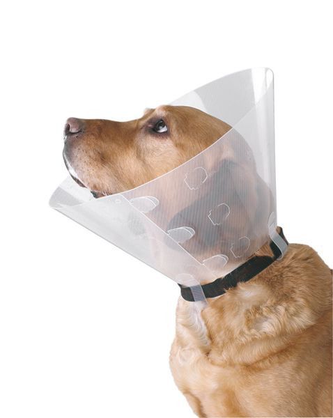 ochranny-golier-pre-psa-10-cm-10526