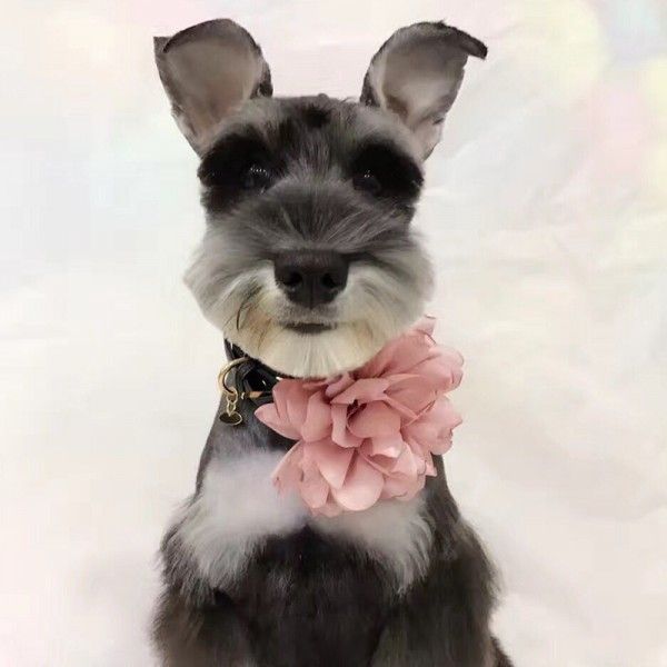 ozdoba-na-szyje-rozowy-kwiat-3523