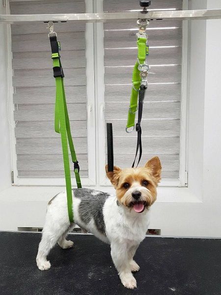 uvaz-na-sibenicu-rozsirenie-4-8485 uvaz-na-sibenicu-rozsirenie-4-8485