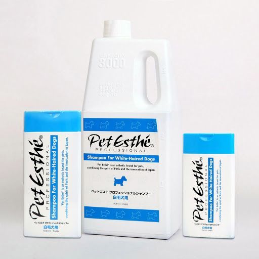 white-haired-dogs-sampon-pre-psy-s-bielou-srstou-13152