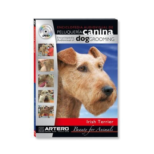 x_kurz-cd-na-strihanie-plemena-psov-irish-terrier-9377