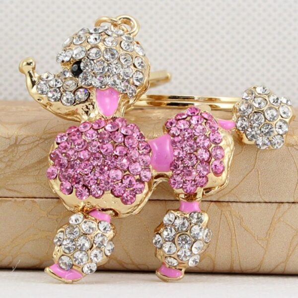 x_privesky-pudlik-4285