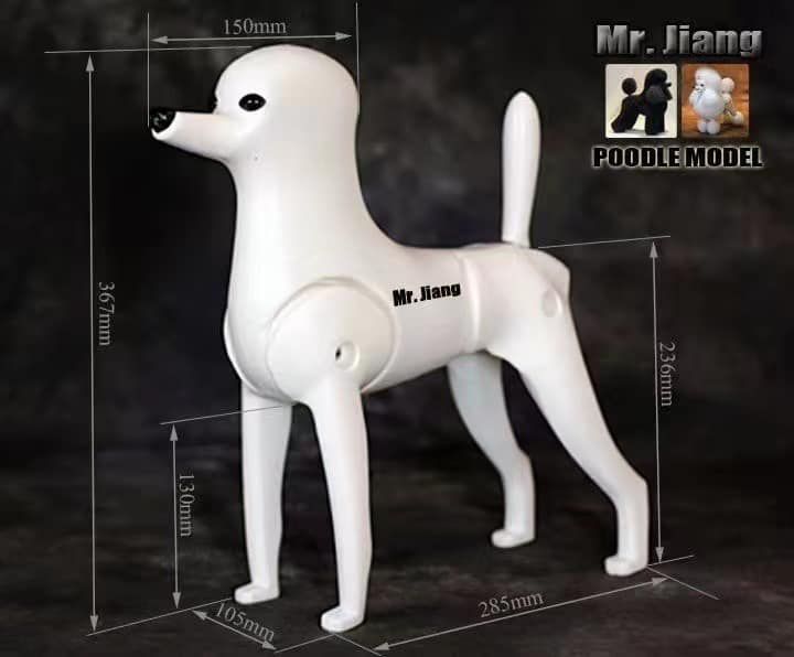 manekyn-model-poodle-na-naucenie-strihania-14740 manekyn-model-poodle-na-naucenie-strihania-14740