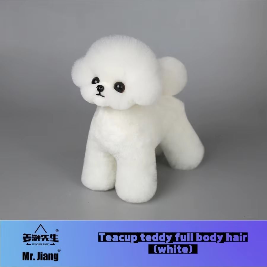 mrjiang-teacup-teddy-full-body-coatmodel-dog-white-064-18772