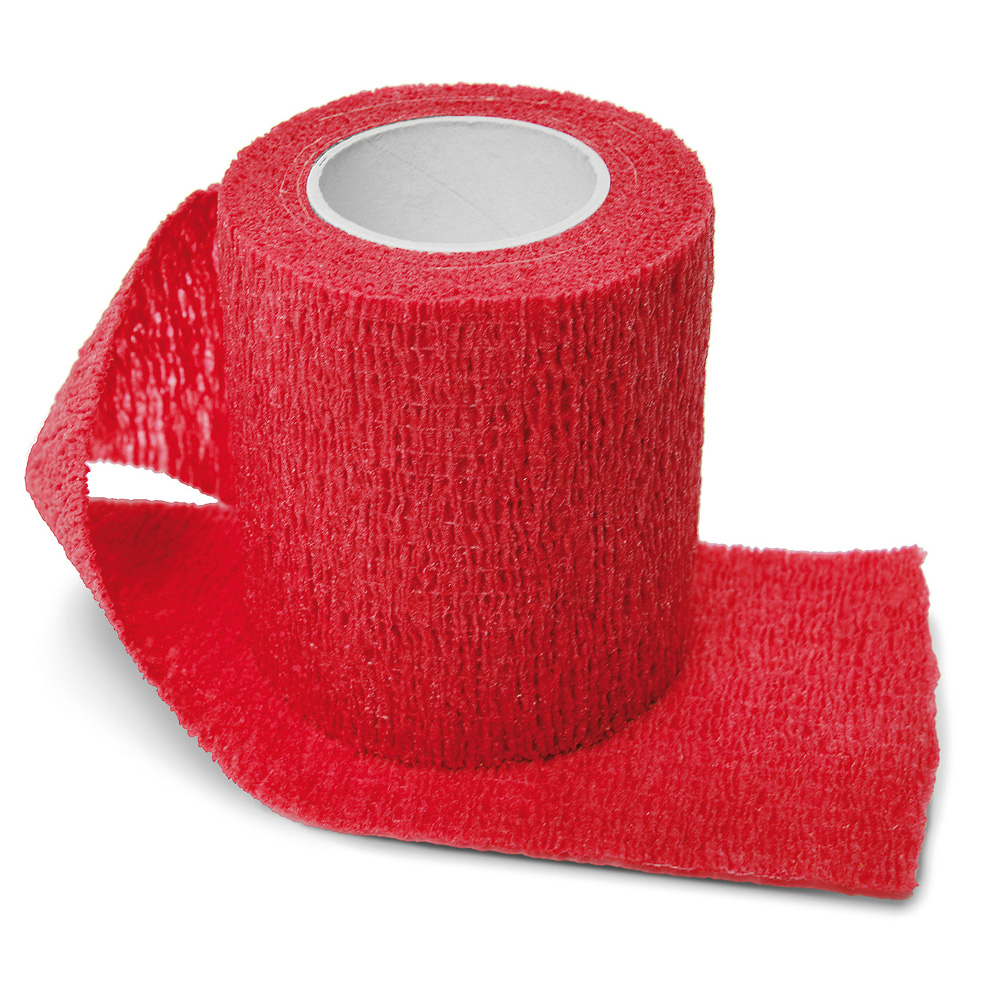 8ee82c5ead522ca08d244a0940cf8327.jpg a5aec6f560b2a319f5e9c341c41ff081