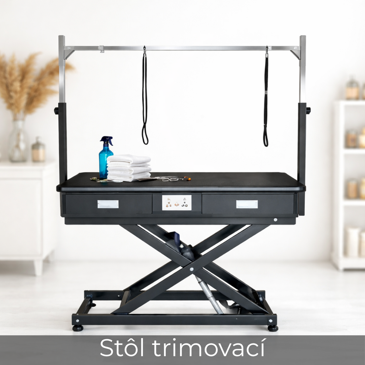 Sušičky pre psov