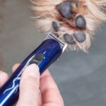 zastrihavac-heiniger-style-mini-na-precizne-strihanie-zvierat