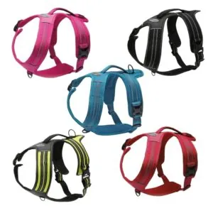 Postroj pre psa Alpi Action