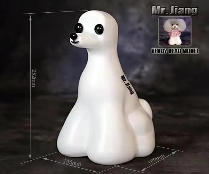 hlava-manekyna-teddy-model-dog-14802